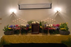 IMG_6103